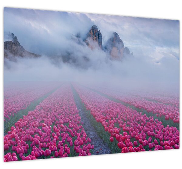 Slika - Krajolik s poljima tulipana (70x50 cm)