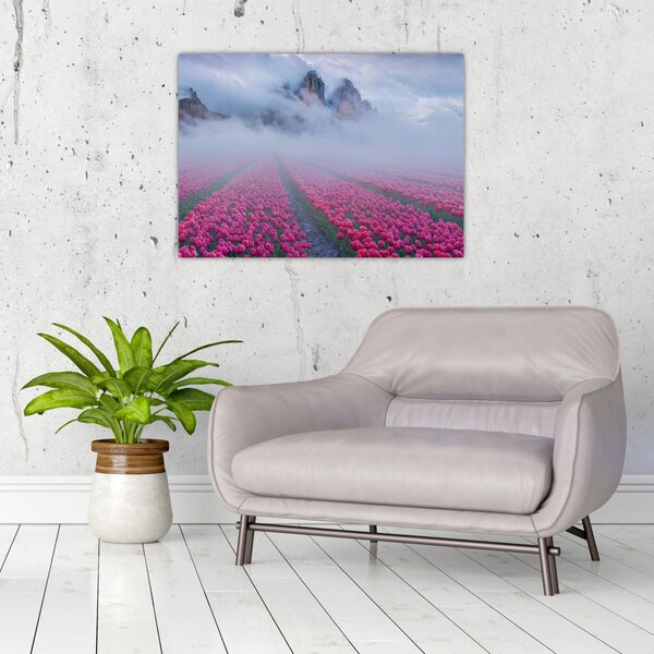 Slika - Krajolik s poljima tulipana (70x50 cm)