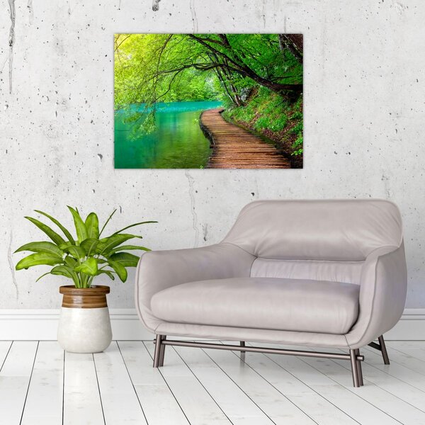 Slika - Plitvička jezera (70x50 cm)