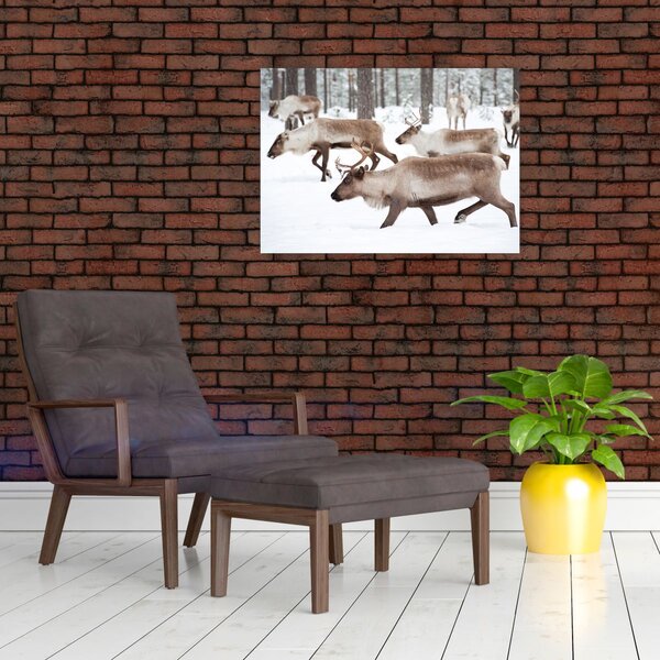 Slika - Sob (70x50 cm)
