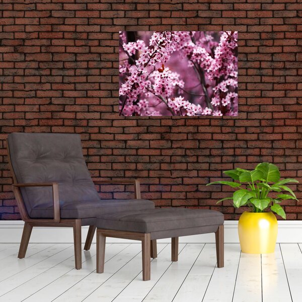 Slika - Ružičasta sakura (70x50 cm)