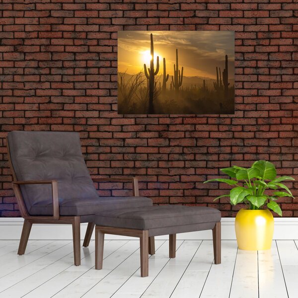 Slika - Saguaro kaktusi (70x50 cm)