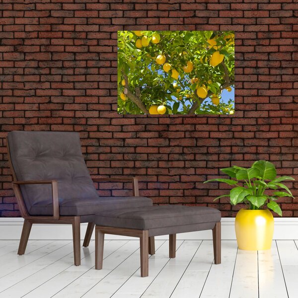 Slika - Limun (70x50 cm)