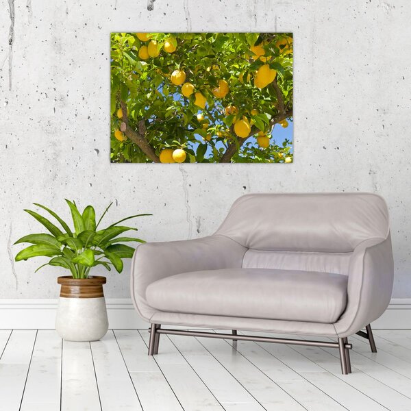 Slika - Limun (70x50 cm)