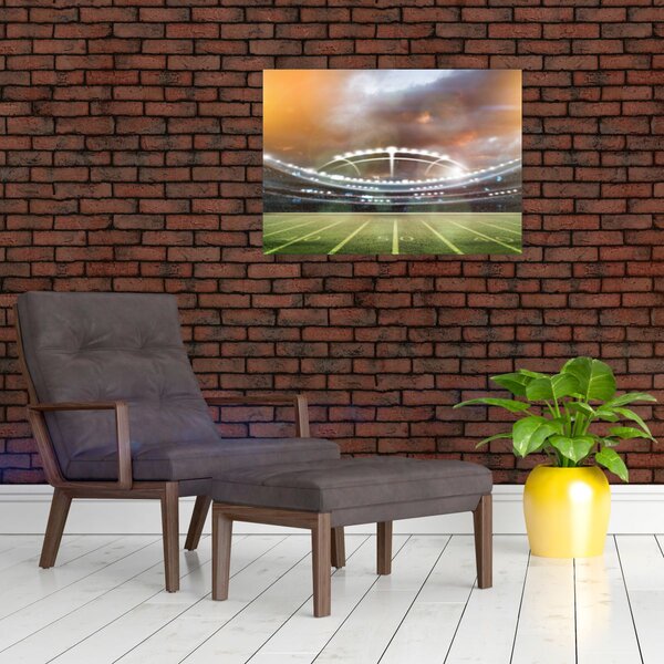 Slika - Stadion (70x50 cm)