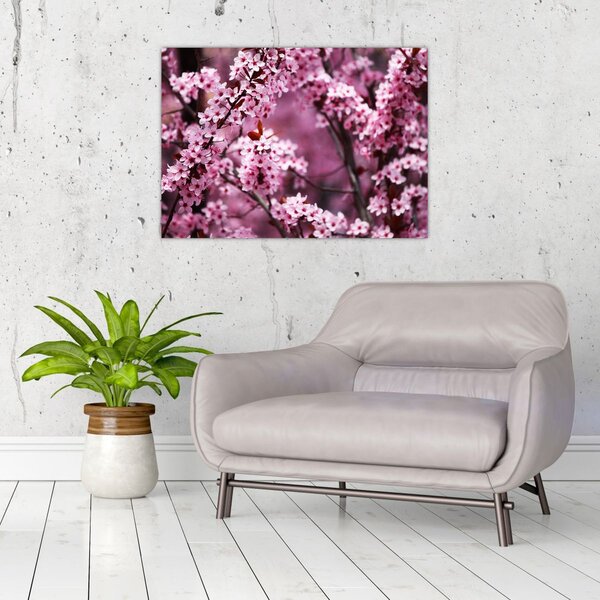 Slika - Ružičasta sakura (70x50 cm)