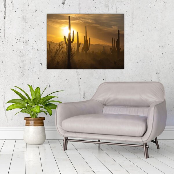 Slika - Saguaro kaktusi (70x50 cm)