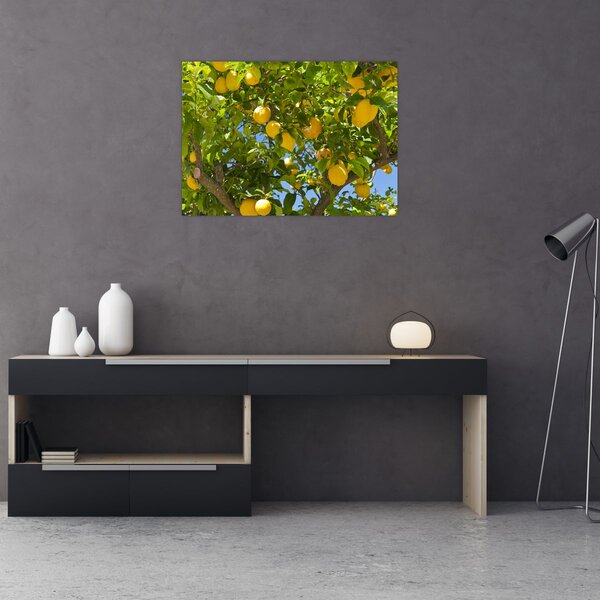 Slika - Limun (70x50 cm)