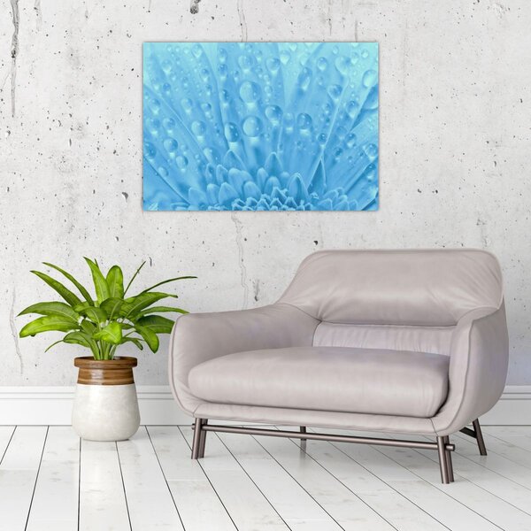 Staklena slika - Makro snimak cvijeta (70x50 cm)