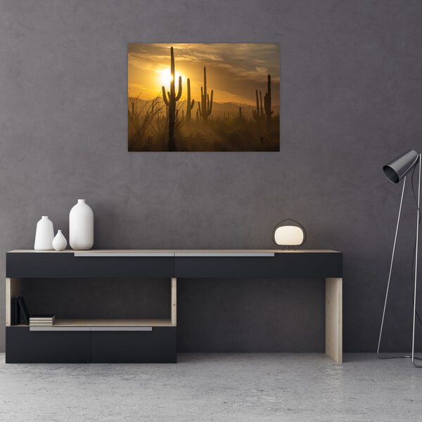Slika - Saguaro kaktusi (70x50 cm)