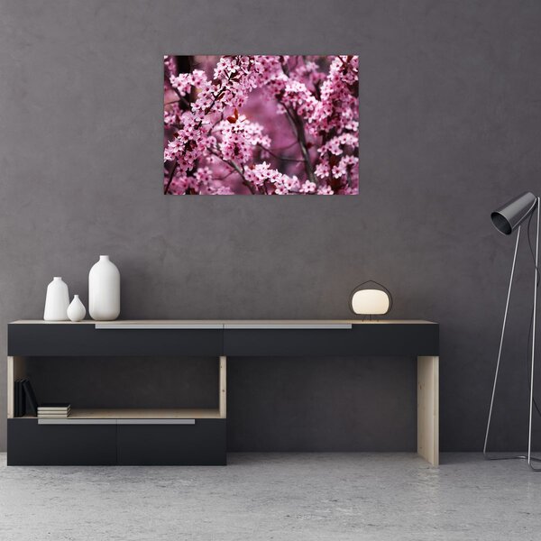 Slika - Ružičasta sakura (70x50 cm)