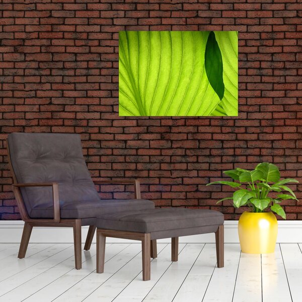 Slika - Detalj zelenog lista (70x50 cm)