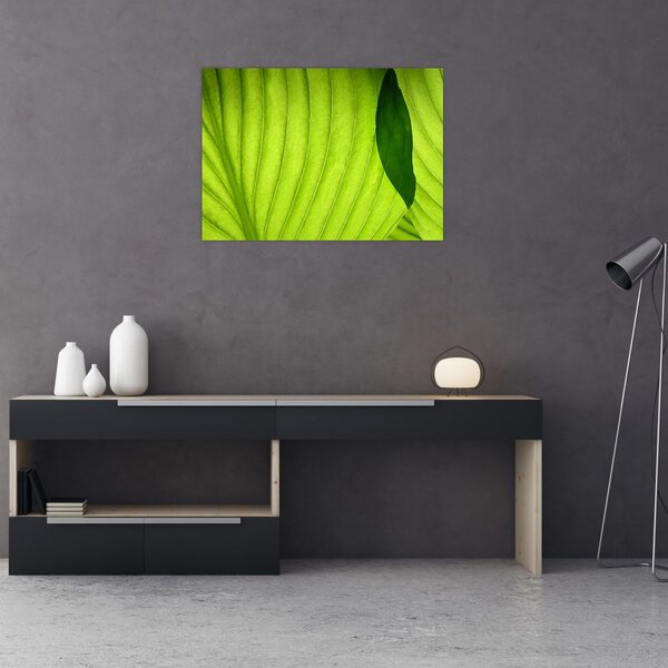 Slika - Detalj zelenog lista (70x50 cm)