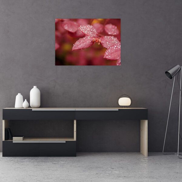 Slika - Makro slika ulaznice (70x50 cm)