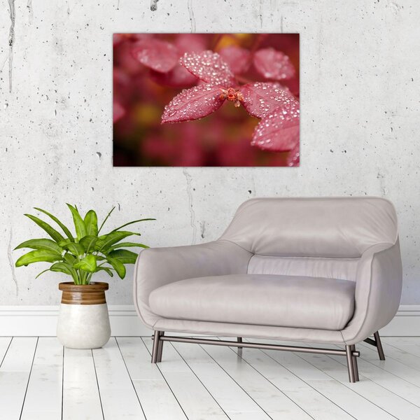 Slika - Makro slika ulaznice (70x50 cm)