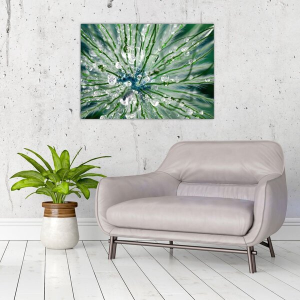 Slika - Makro slika cvijeta (70x50 cm)
