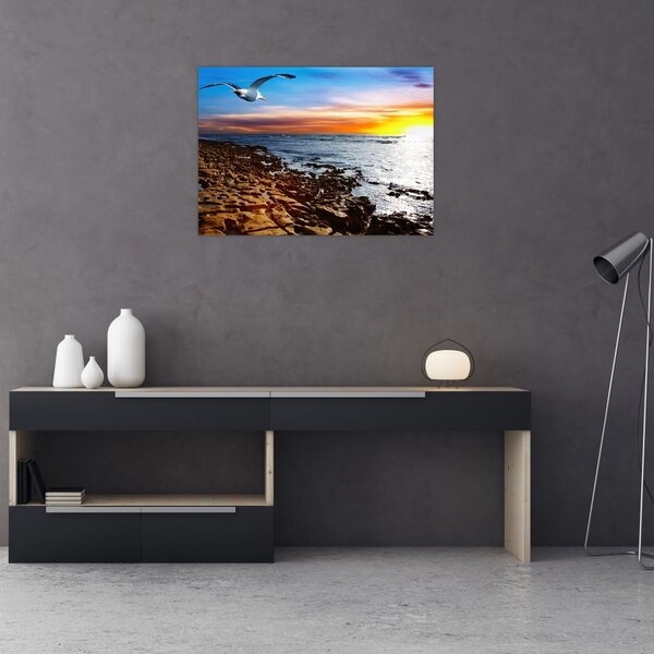 Slika - Galeb leti iznad obale (70x50 cm)