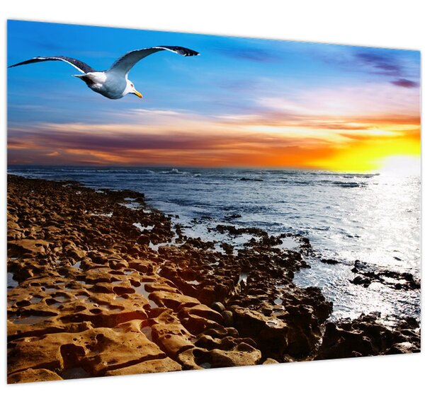 Slika - Galeb leti iznad obale (70x50 cm)