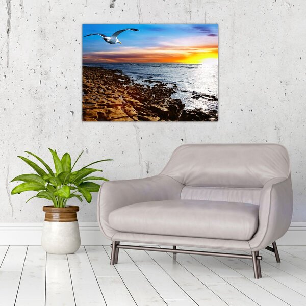 Slika - Galeb leti iznad obale (70x50 cm)