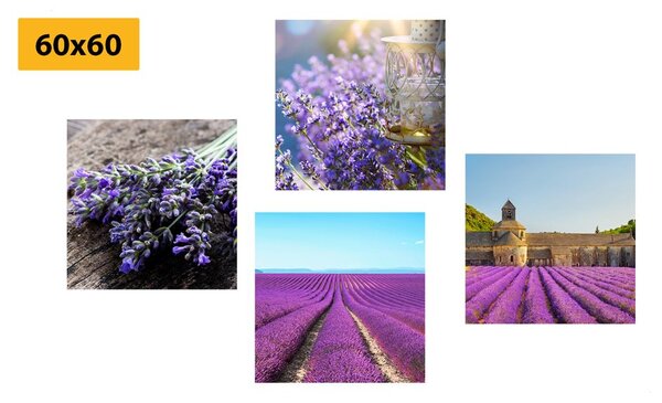 Set slika prekrasna lavanda