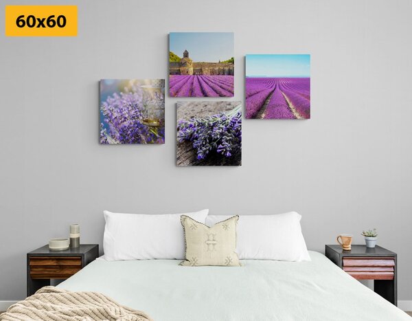 Set slika prekrasna lavanda