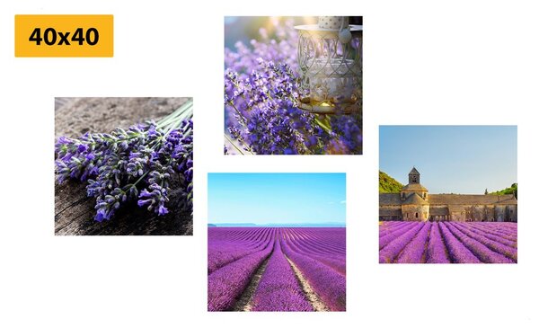 Set slika prekrasna lavanda