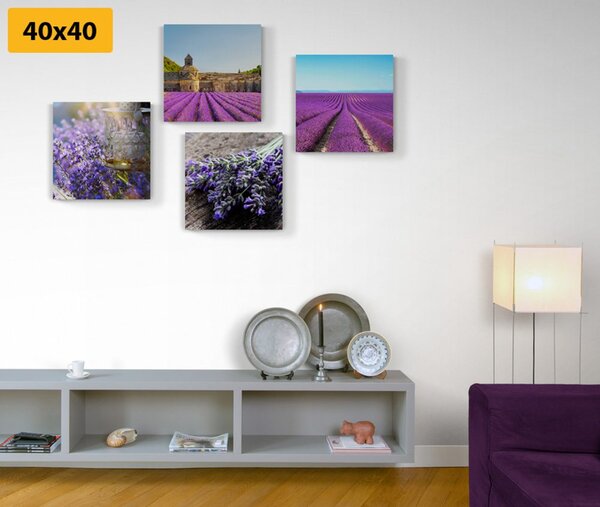 Set slika prekrasna lavanda