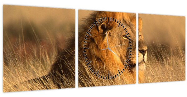 Slika - Nacionalni park Etosha (sa satom) (90x30 cm)