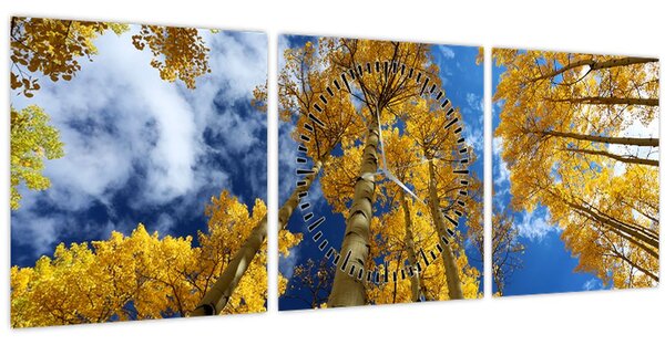 Slika - Aspen (sa satom) (90x30 cm)