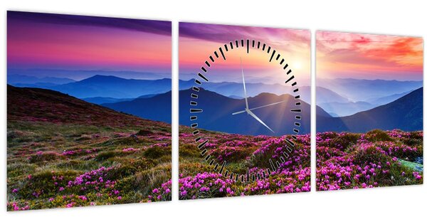Slika - Planinski cvjetni krajolik (sa satom) (90x30 cm)