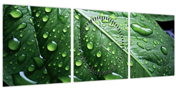 Slika - Detalj lista nakon kiše (sa satom) (90x30 cm)