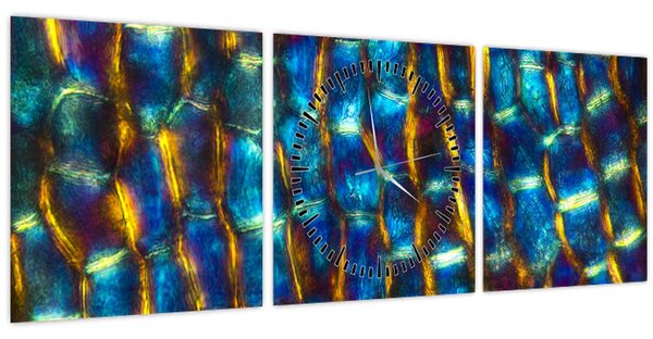 Slika - Stanične stijenke (sa satom) (90x30 cm)