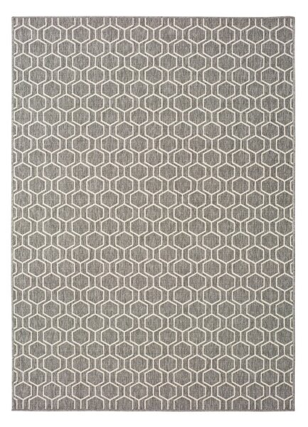 Sivi vanjski tepih Universal Clhoe, 80 x 150 cm