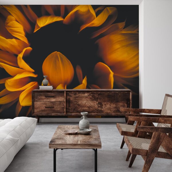 Foto tapeta - Suncokreti u mraku (147x102 cm)