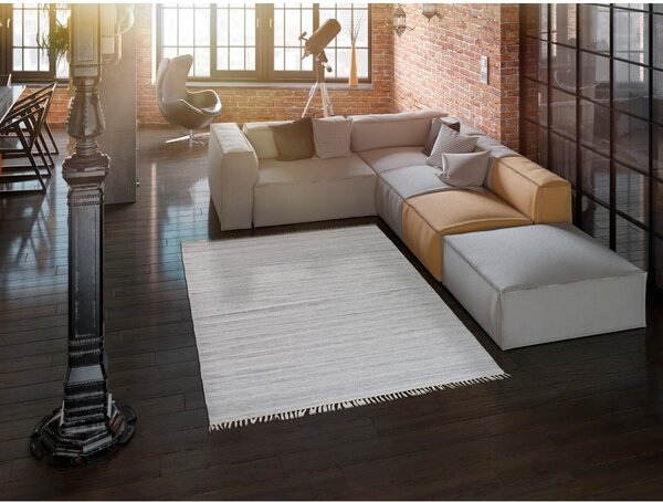 Svjetlosivi vanjski tepih od reciklirane plastike Universal Liso, 140 x 200 cm