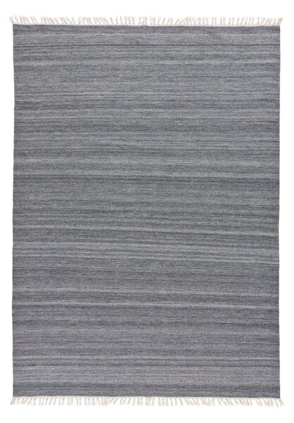 Tamnosivi vanjski tepih od reciklirane plastike Universal Liso, 160 x 230 cm