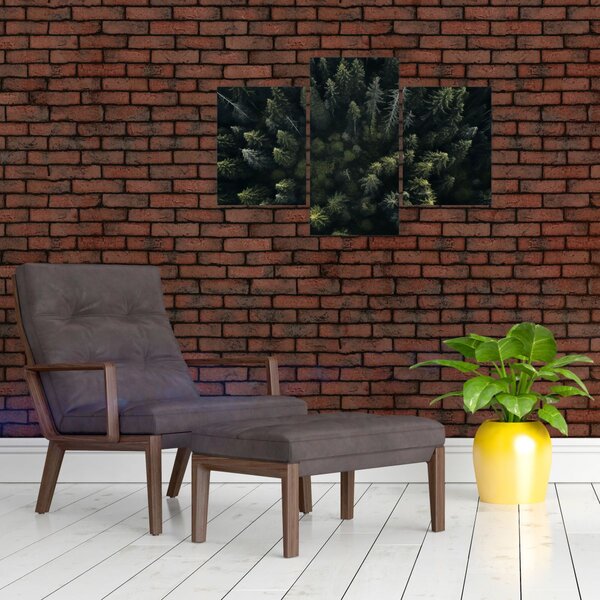 Slika - Šuma (90x60 cm)
