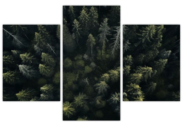 Slika - Šuma (90x60 cm)