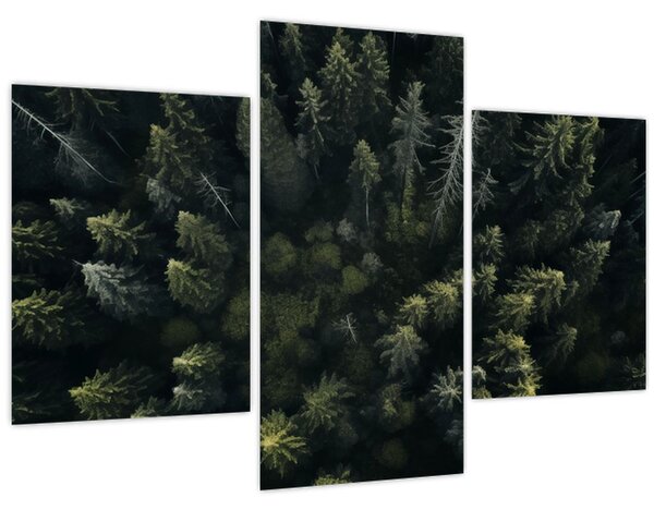 Slika - Šuma (90x60 cm)