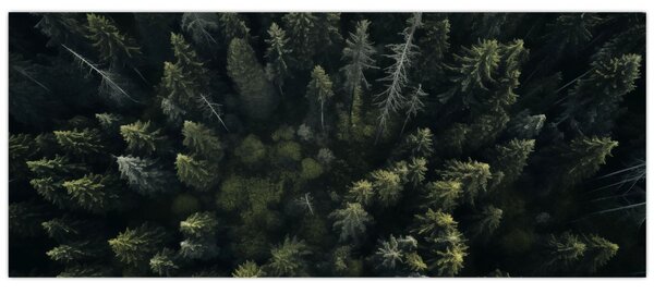 Slika - Šuma (120x50 cm)