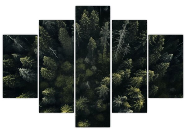 Slika - Šuma (150x105 cm)