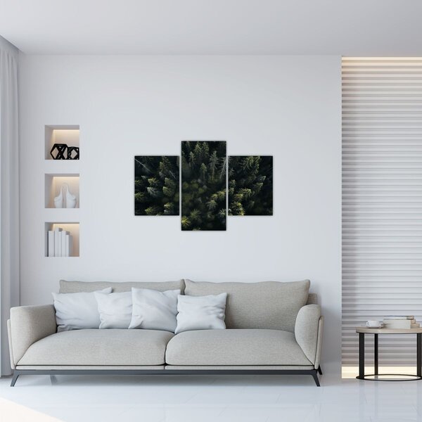Slika - Šuma (90x60 cm)