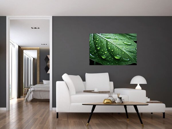 Slika - Detalj lista nakon kiše (90x60 cm)