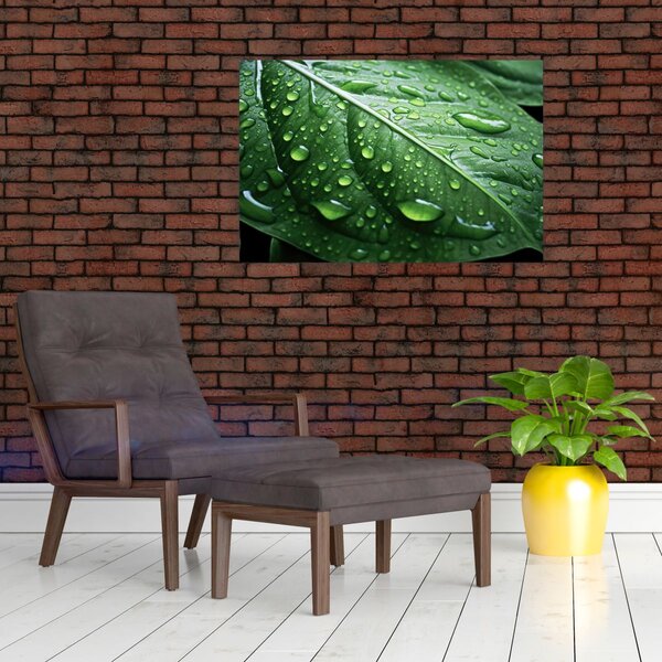 Slika - Detalj lista nakon kiše (90x60 cm)