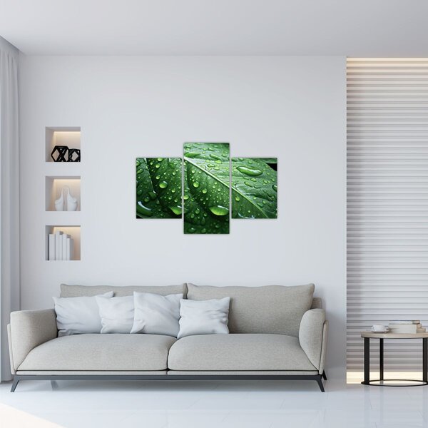 Slika - Detalj lista nakon kiše (90x60 cm)