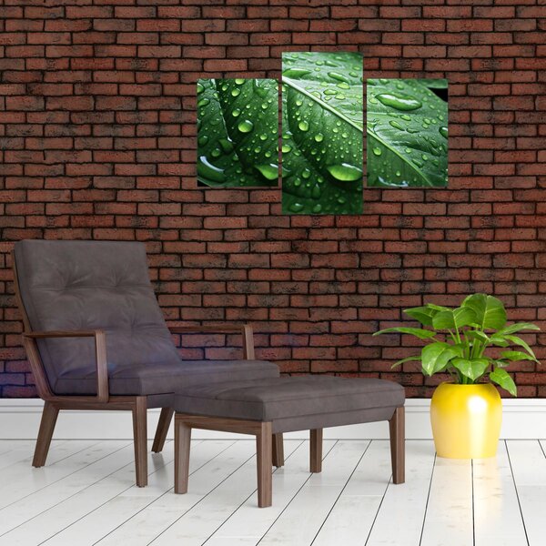 Slika - Detalj lista nakon kiše (90x60 cm)