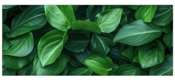 Slika - Zeleno lišće (120x50 cm)