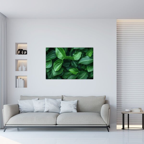 Slika - Zeleno lišće (90x60 cm)