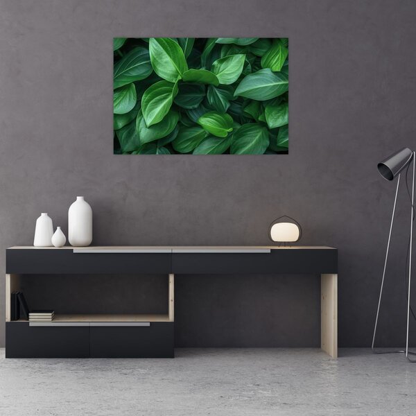 Slika - Zeleno lišće (90x60 cm)