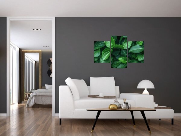 Slika - Zeleno lišće (90x60 cm)